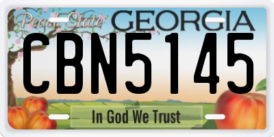 GA license plate CBN5145