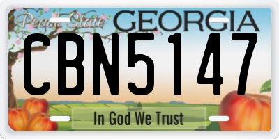 GA license plate CBN5147