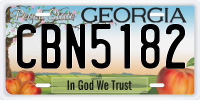 GA license plate CBN5182