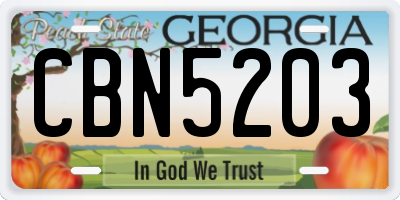 GA license plate CBN5203