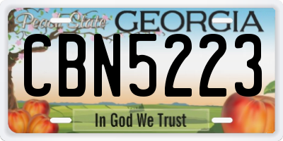 GA license plate CBN5223