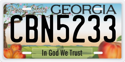 GA license plate CBN5233