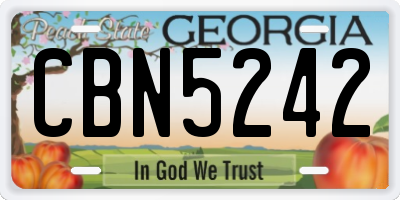 GA license plate CBN5242