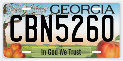 GA license plate CBN5260