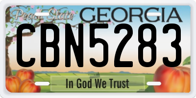 GA license plate CBN5283