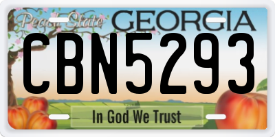 GA license plate CBN5293
