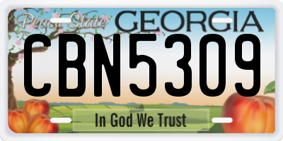 GA license plate CBN5309