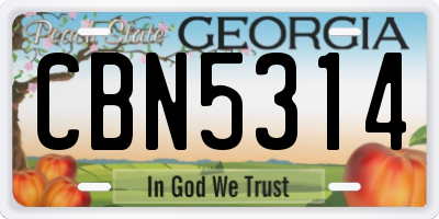 GA license plate CBN5314