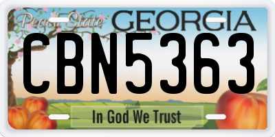 GA license plate CBN5363
