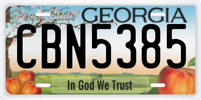 GA license plate CBN5385