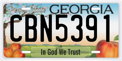GA license plate CBN5391