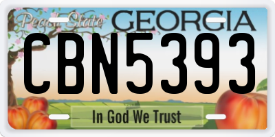 GA license plate CBN5393