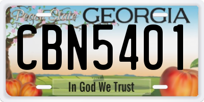 GA license plate CBN5401