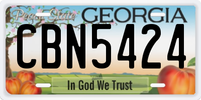 GA license plate CBN5424