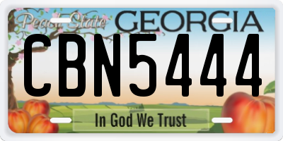 GA license plate CBN5444