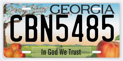 GA license plate CBN5485