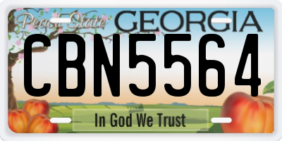 GA license plate CBN5564