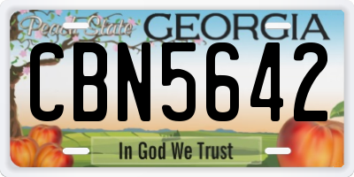 GA license plate CBN5642
