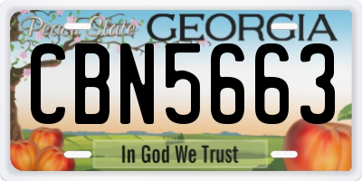 GA license plate CBN5663