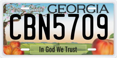 GA license plate CBN5709