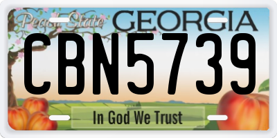 GA license plate CBN5739
