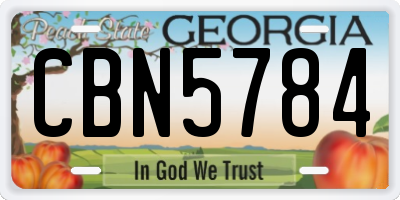 GA license plate CBN5784