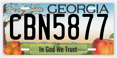 GA license plate CBN5877