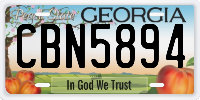 GA license plate CBN5894