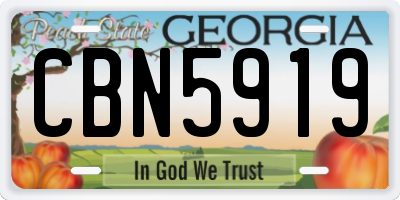 GA license plate CBN5919