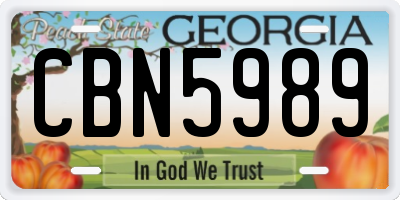 GA license plate CBN5989