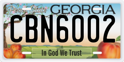 GA license plate CBN6002