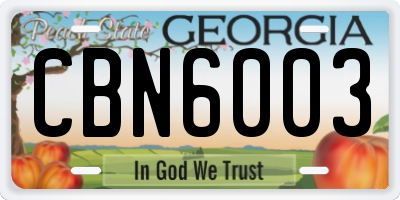 GA license plate CBN6003