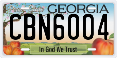 GA license plate CBN6004