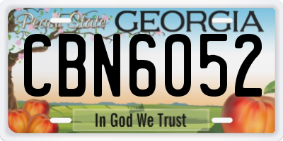 GA license plate CBN6052