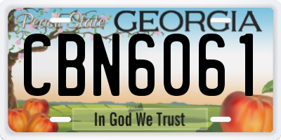 GA license plate CBN6061