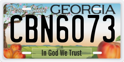 GA license plate CBN6073