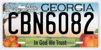 GA license plate CBN6082