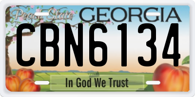GA license plate CBN6134