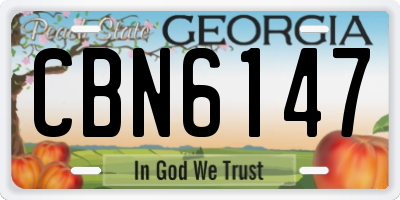 GA license plate CBN6147