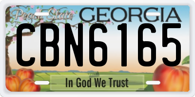 GA license plate CBN6165