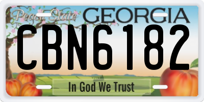 GA license plate CBN6182