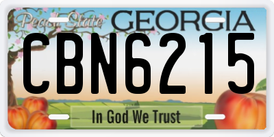 GA license plate CBN6215