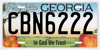 GA license plate CBN6222