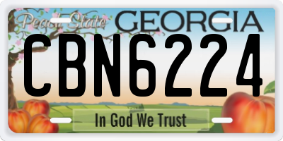 GA license plate CBN6224