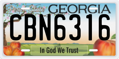 GA license plate CBN6316