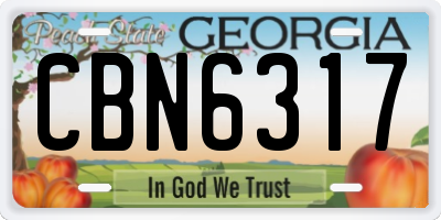 GA license plate CBN6317