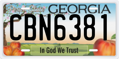 GA license plate CBN6381