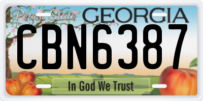 GA license plate CBN6387
