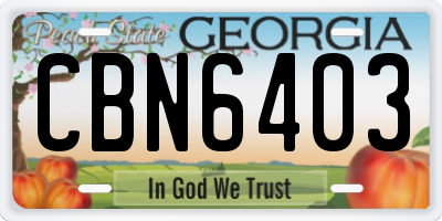 GA license plate CBN6403