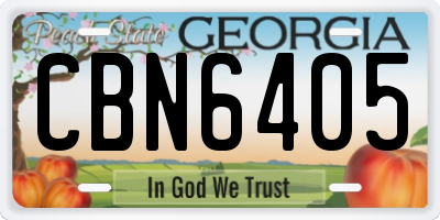 GA license plate CBN6405